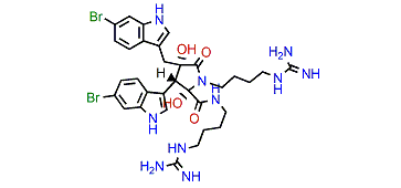Eusynstyelamide B
